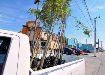 Entregan árboles y hortalizas a familias de Piedras Negras