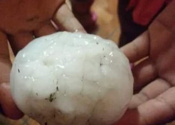 Fuertes daños por granizada en el Municipio de Jiménez