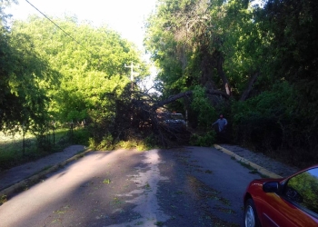 Fuertes daños por granizada en el Municipio de Jiménez