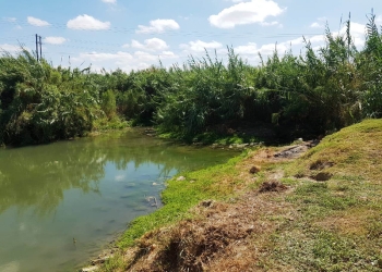 Productores esperan fuerte sequía en verano