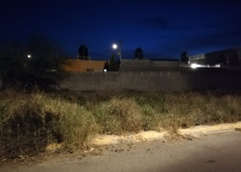 Los baldíos están en la mira