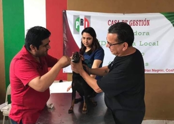 Realiza el PRI brigada canina