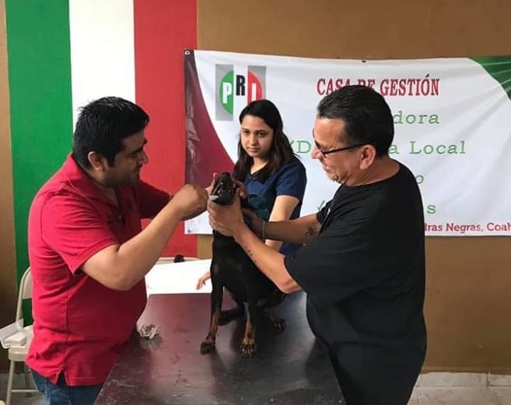 Realiza el PRI brigada canina