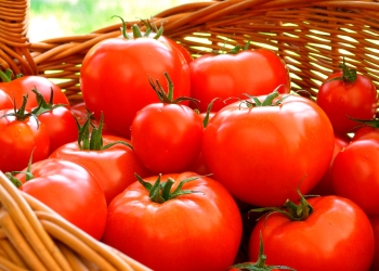 Estados Unidos impone arancel a exportaciones de tomate mexicano
