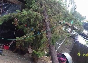 Fuertes vientos dejan sin luz a Piedras Negras y Morelos