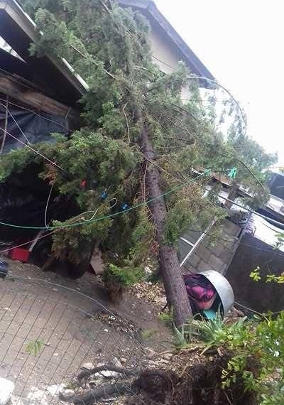 Fuertes vientos dejan sin luz a Piedras Negras y Morelos