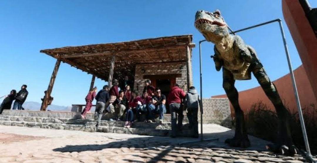 Son 25 años de saqueos en General Cepeda