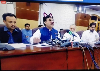 Por error, ministro paquistaní da sesión en vivo con filtro de gato