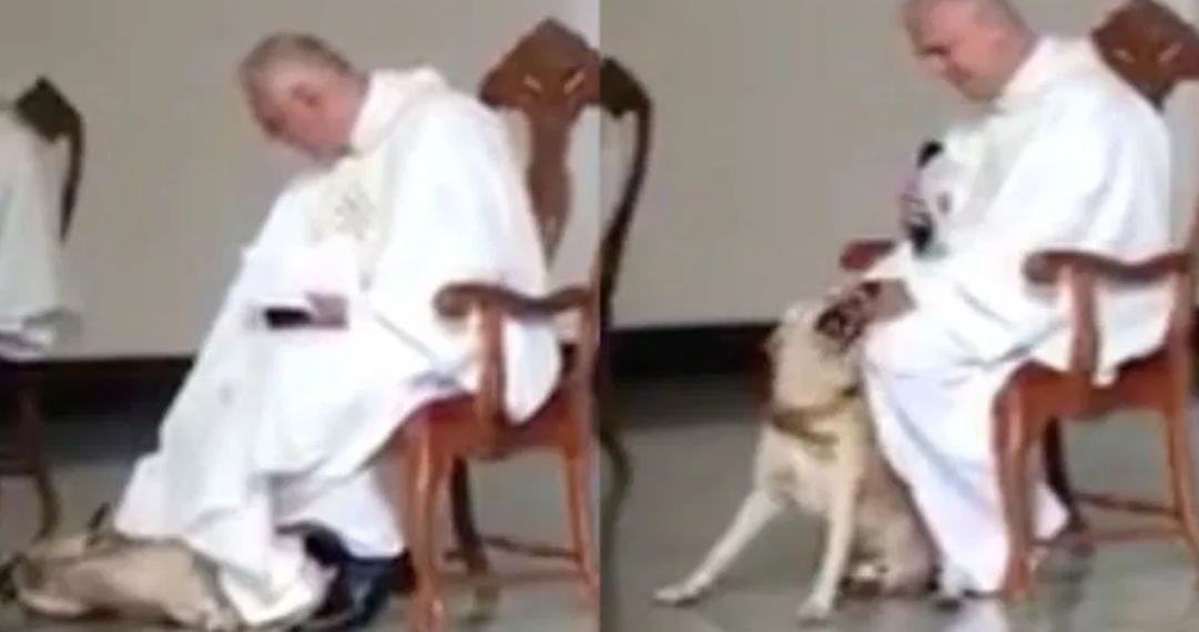 VIDEO: Perro muerde túnica de sacerdote durante la misa