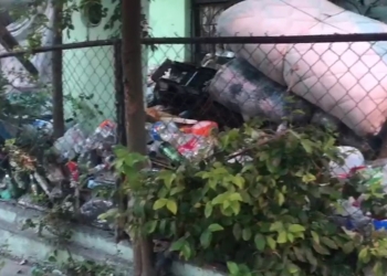 Detecta municipio acumulador compulsivo