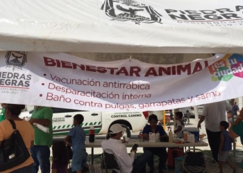 Invitan a esterilizar mascotas