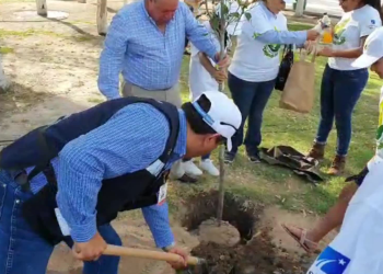 Planea municipio sembrar 10 mil árboles