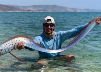 Aparece extraño pez remo en playa de México, turistas lo rescatan