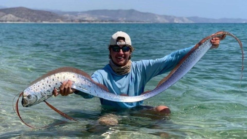 Aparece extraño pez remo en playa de México, turistas lo rescatan