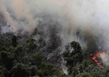 Arde la Amazonia sin control, con miles de incendios activos