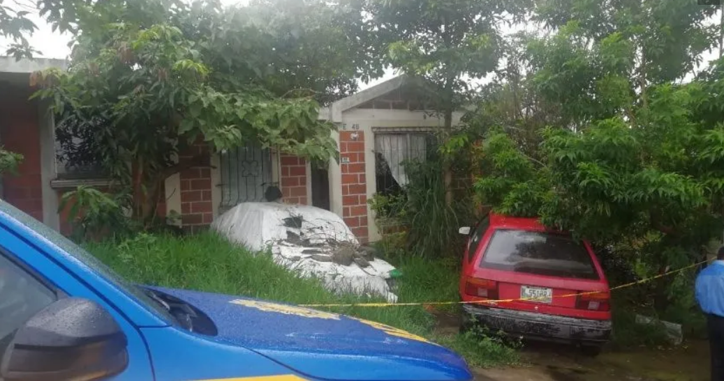 Muere en su casa y sus perros la devoran
