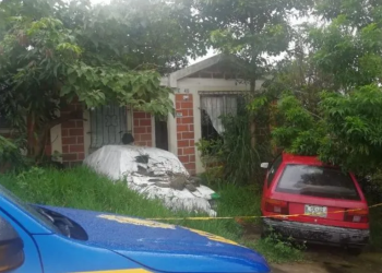 Muere en su casa y sus perros la devoran