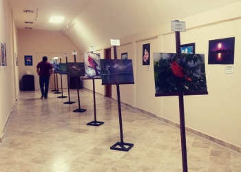 Se inaugura la exposición “Fotografías de Nuestro Piedras Negras y la Región”