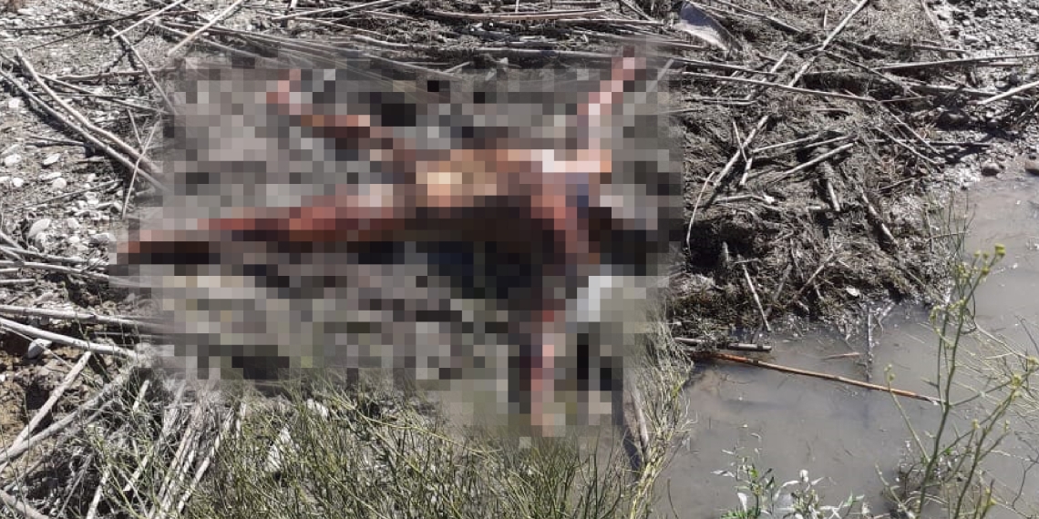 Flota otro cuerpo en el Río Bravo