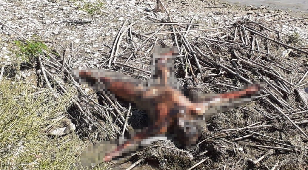 A la fosa común ahogado del Centinela de no ser identificado