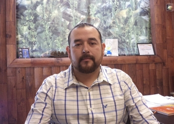 Destacan la importancia de promover la reforestación