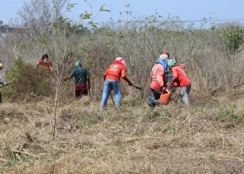 Se oferta trabajo de los Jornaleros