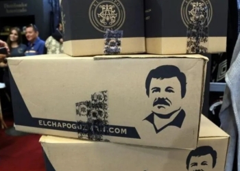 Hijos de ‘El Chapo’ crearon red empresarial en varios giros