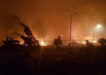 Incendios forestales en Tecate, Baja California se cobran dos víctimas mortales