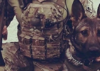 El can que ayudó a la captura del líder de ISIS