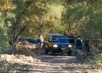 Encuentran a hombre ahorcado en un árbol
