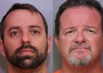 Arrestan a 2 empleados de Disney en operativo contra pornografía infantil