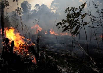 DiCaprio encara a Bolsonaro tras acusaciones de pagar por incendios en Amazonia