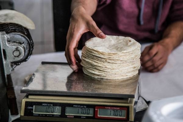 Kilo de tortilla podría costar hasta 40 pesos por aprobación de Ley