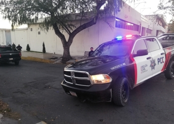 Decomisan 2 toneladas  de marihuana en Arteaga