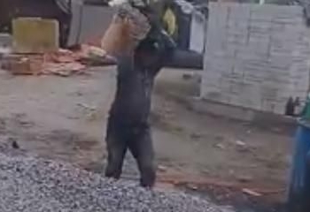 Hombre invidente que trabaja como albañil (Video)