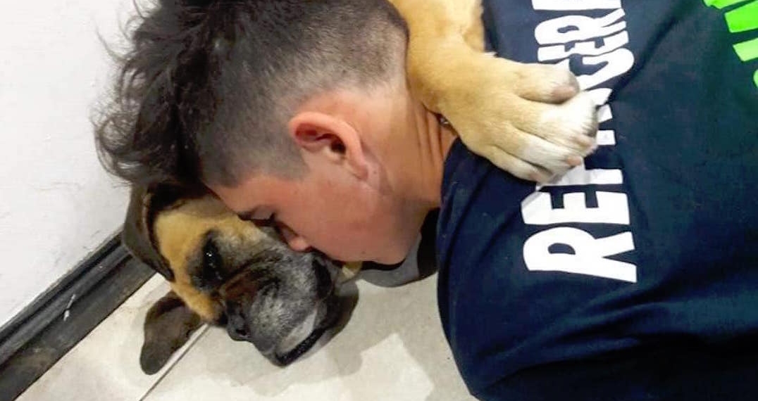 Por pirotecnia, muere perrita de un paro cardíaco