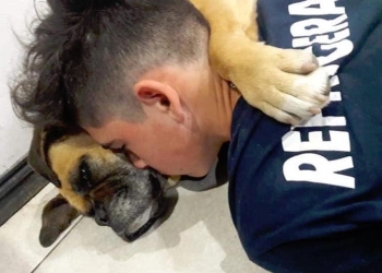 Por pirotecnia, muere perrita de un paro cardíaco