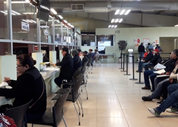El 31 de enero finaliza la oportunidad de contar con seguro contra terceros