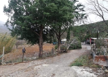 Es Potrero de Ábrego  azotado por el viento