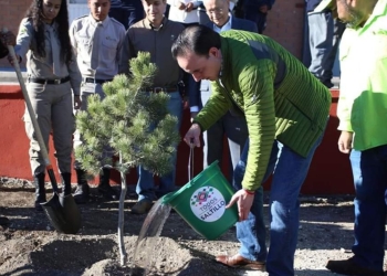 Continúan con la mega reforestación en Saltillo