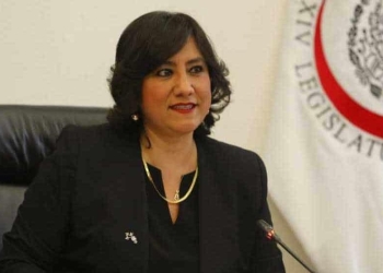 Propone Irma Eréndira Sandoval que el paro lo realicen hombres