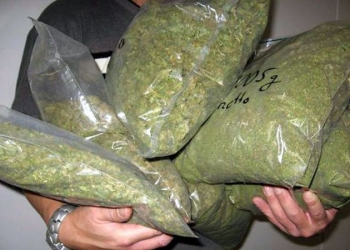 Detienen a sujeto con casi una tonelada de mariguana