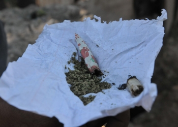 Senado propone crear el Instituto del Cannabis