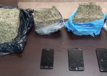 Detenidos con droga son investigados