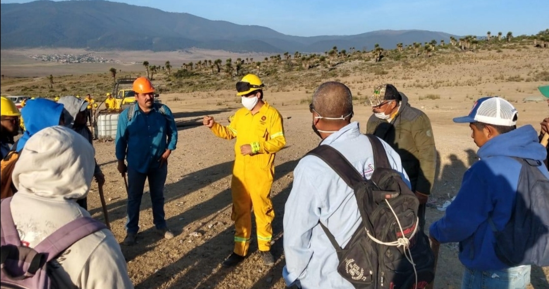 Se calma el fuego en la región sureste