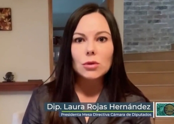 Presidenta de la Cámara de Diputados donará su salario para insumos por Covid-19