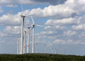 Se unen 7 estados para defender inversiones en energías renovables