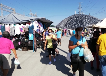 Saltillo se activa en etapas