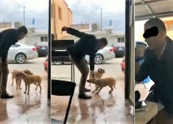 “Mata Perros” continúa prófugo de la justicia