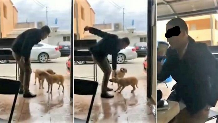 “Mata Perros” continúa prófugo de la justicia